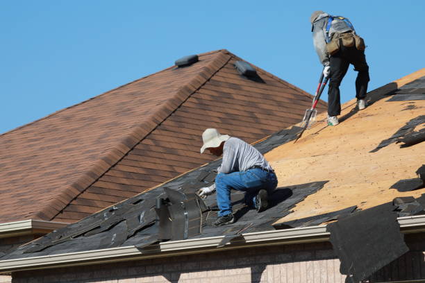 Best Rubber Roofing (EPDM, TPO)  in Wayland, MI