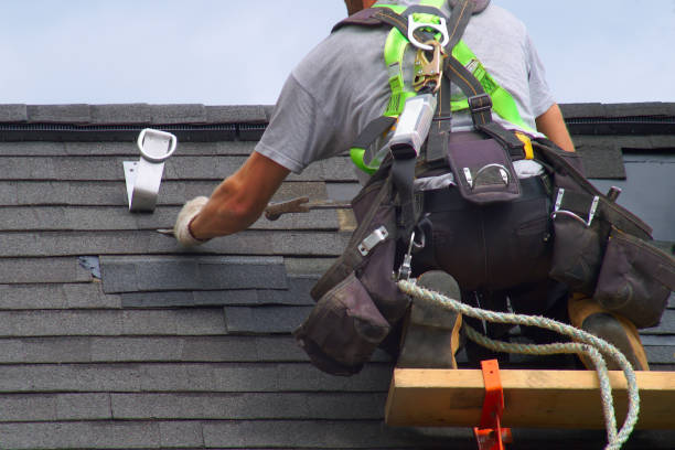 Best Roof Ventilation Installation  in Wayland, MI