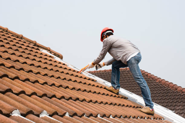 Best Storm Damage Roof Repair  in Wayland, MI
