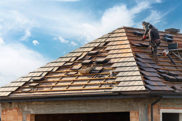 Best Asphalt Shingle Roofing  in Wayland, MI