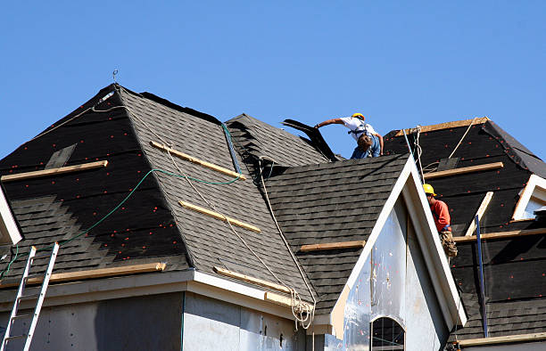 Best Gutter Installation and Repair  in Wayland, MI
