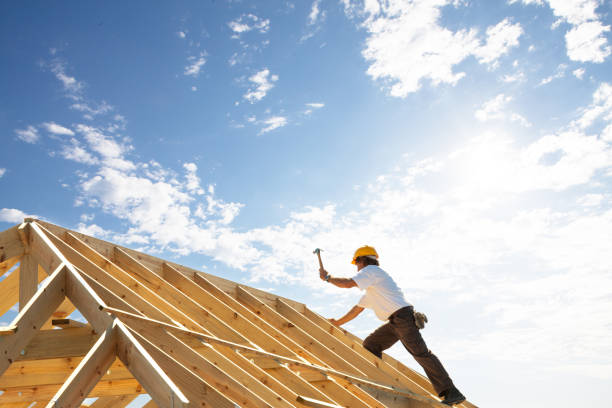 Best Roof Maintenance and Cleaning  in Wayland, MI